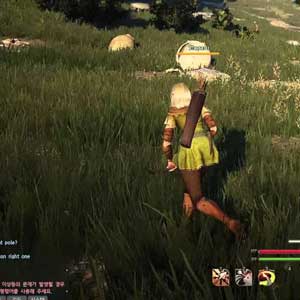 Black Desert Online - PvP