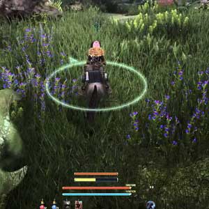 Black Desert Online - Farming