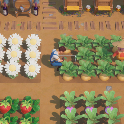 Coral Island - Planting Vegetables