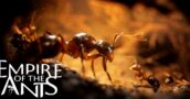 Free Empire of the Ants CD Key On The Platform Of Your Choice – Giveaway